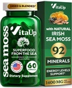 VitaUp Wildcrafted Irish Sea Moss Capsules with Burdock Root & Bladderwrack - USA Made Sea Moss Advanced for Hair, Skin, Immune & Energy Levels Support - SeaMoss Pills - 60 Vegan Capsules