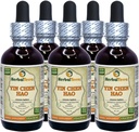 Yin Chen Hao (Artemisia Capillaris) Tinctuur, Biologische Gedroogde Kruidenvloeistof Extract (Grote Naam: HerbalTerra, Trots Made in USA) 5x2 fl.oz (5x60 ml)