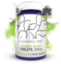 Nootropics Depot Lemon Balm Extract Tabletten 500mg 