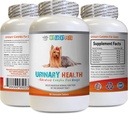 Incontinentie van de urine van de hond - Urinaire gezondheid van de hond Formule - Helpt met Incontinentie en Blaasproblemen - Immune Boost - Corn Silk Capsules voor honden - 1 fles (90 Treats)