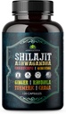 Shilajit pour hommes – Supplément adaptogène 8-en-1 avec Ashwagandha, Cordyceps, Ginseng, Rhodiola, Turmeric, Chaga & Ginger – Énergie naturelle, Stress Relief & Immune Support – 120 Capsules Vegan