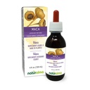 Naturalma Maca of Peruvian Ginseng (Lepidium meyenii of L. peruvianum) Wortel Alcoholvrije Tinctuur - 4 fl oz Liquid Extract in druppels - Kruidensupplement - Veganistisch