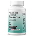 Biologische Irish Sea Moss, Bladderwrack & Burdock Root Supplement 1405mg, 60 Veg Capsules - Immune Booster, Gut Health, Skin Detox & Joint Support (60 Count (Pack of 1))