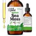 Wild & Organic Sea Moss Liquid Drops - Immune Support - Irish Sea Moss and Bladderwrack Tinctuur - Multimineral Chondrus Crispus Supplement - Vegan, Sugar & Alcohol-Free - 2 fl oz