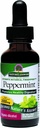 Nature's Antwoord Pepermuntblad met biologische alcohol, 1-fluid Ounce 