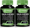 Irish Sea Moss Capsules, 17-in-1, Seamoss Black Seed Oil, 240 Telling, Ashwagandha Burdock Root Biologische Bladderwrack Capsules 