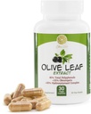 Olive Leaf Extract - 500mg - Supplement gestandaardiseerd tot 25% Oleuropein - 20% Hydroxytyrosol - 40% Polyfenolen - Non-GMO + Glutenvrij + Zuivelvrij + Sojavrij + Veganistisch (30 Capsules)