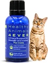 HA4E - Cat UTI Remedie - Natuurlijke Nierondersteuning voor Katten - Ondersteunt Blader & Urinary Health - Renale Reiniging - Niet-GMO, Biologisch, Chemisch-Vrij - 300 Tabletten