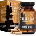 North Spore Organic Turkey Tail Extract Paddestoel Supplement Capsules 