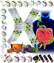Alle natuurlijke detox Cleanse Instant Tea Mix Prune & Plum w. Fiber & Inulin voor optimale intestinal Transit door FuXion Prunex 1 (10 Sachets)