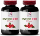 supplément d'extrait d'aubépine - HAWTHORN BERRIES EXTRACT - supplément de baies, supplément antioxydant pour les femmes, baies antioxydantes, extrait de baies d'aubépine biologique, antioxydants pour les femmes 2 Bot 120 Caps