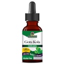 Nature's Answer Gotu Kola Herb Alcohol Free, 1-Fluid Ounce | Dietary Supplement | Supports a Healthy Immune System | Made in The USA | Gluten-Free, Vegan & Vegetarian
