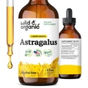 Wild & Organic Astragalus Tinctuur - Immune Support Supplement w/Astragalus Root Extract - Veganistische Tinctuur voor Immuniteit - Suiker & alcoholvrije druppels - 4 fl oz