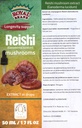 Reishi Mushroom Supplement/Onze Reishi Mushroom Extract bevordert de levensduur/Reishi Mushroom Tinctuur - 50ml / 1,7 Fl Oz