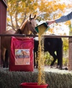 Glow 40 lb, Aids in Weight Gain voor paarden en verbetert jas en conditie, hoog in Omega-3