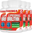 1660MG Urolithin A Supplement - Liposomal Urolithin 240 Capsules