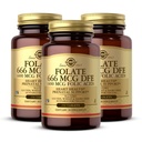Solgar Folate 666 mcg DFE (Folic Acid 400 mcg) - 250 tabletten, Verpakking van 3 - Prenatale ondersteuning - Non-GMO, Veganistisch, Glutenvrij, Zuivelvrij, Kosher - 750 Totaal porties