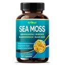 Premium Sea Moss met Ashwagandha, Burdock Bladderwrack, Black Seed for Immune System, Skin, Digestie & Energy- Made in The USA (150 Count (Pack of 1))