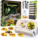 GobiDex Amber Dig Kit-artificial Insect Resin, Excavation 6 Insectes Specimens, STEM Geographic Educational Bugs Jouets, Jouets d'excavation pour les Bugs Fun Favors, Kits scientifiques pour les enfants Age 6-8 8-12