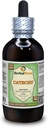 Catechu (Acacia Catechu) Glycerite, gedroogd kruiden Alcoholvrije vloeibare Extract (Grote naam: HerbalTerra, Trots Made in USA) 4 fl.oz (120 ml)