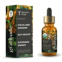 Fantastic Fungi Mushroom Extract - 8-in-1 Organic Complex Mushroom Supplement met Cordyceps, Reishi, Lion