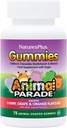 NaturesPlus Dierenparade Bron van het Leven Gummies - Natuurlijke sinaasappel-, druiven- en kersensmaken - 75 dierlijke vorm Gummies - Whole Food Kid's Multivitamine - Glutenvrij - 37 Serven
