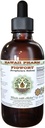 Figwort Alcoholvrije Liquid Extract, Biologische Figwort (Scrophulara Nodosa) Gedroogde Kruiden Glyceriet Hawaii Pharm Natural Kruidensupplement 2 oz
