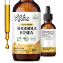 Wild & Organic Rhodiola Rosea Tinctuur - Mood Support - Relaxing Rhodiola Supplement - Root Extract Liquid Drops - Vegan, Sugar & Alcohol-Free - 2 fl oz