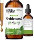 Wild & Organic Goldenseal Root Tinctuur - Lung Cleanse, Immune & Digestief Ondersteuning - Liquid Goldenseal Supplement - Vegan, Sugar & Alcoholvrije Herb Drops - 2 fl oz
