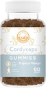 Cordyceps Paddestoelen Gummies - mei ondersteuning energie, endurance, en uithoudingsvermogen - Tropische Mango smaak - Veganistisch, niet-GMO, Glutenvrij, Gelatine Vrij - 60 Tellen