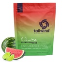 Restwind Voeding Endurance Brandstof, Koolhydraat & Electrolyte Sports Drink Mix Poeder, Glutenvrij, Veganistisch, Dauwaltermelon, 30 porties
