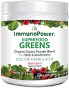 Revitaliser votre bien-être Verts organiques et rouges Superfood Poudre pour la santé vive