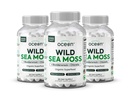 Organics Ocean Wild Sea Moss Capsules - 100% Organic Irish Sea Moss with Organic Chlorella, Bladderwrack and Vitamin D for Energy, Lung Health and Thyroid Support for Women and Men - 3 Bottles