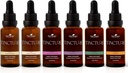 Plant Therapie Biologische Tincturen Beginner Set 30 ml Elke biologische Ashwagandha, Aziatische Ginseng, Echinacea Blend, Vlierbessen, Citroen Balsem & Kurkuma