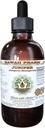 Juniper Alcoholvrij Liquid Extract, Biologische Juniper (Juniperus Monosperma) Gedroogde Berry Glycerite Hawaii Pharm Natural Kruidensupplement 4 oz