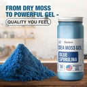 Biolore Sea Moss Gel - Blue Spirulina 16oz, Wildcrafted Irish Seamoss with Essential Vitamines & Trace Minerals, Vegan Superfood Made in USA
