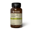 Nature's Sunshine Hawthorn Bessen, 100 Capsules 
