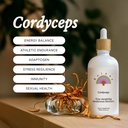 Rainbo - Cordyceps Mushroom Tinctuur - Dual Extract Mushroom Supplement - Immune Support, Energie, Liquid Cordyceps Supplement, Vegan, Niet GGO, 3.4 fl oz