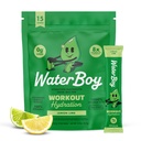 Waterboy entraînement Hydratation $ 2,960mg Sucre sans électrolyte en poudre Packets $ L-Glutamine + Vitamines $ Pas de sucre, tout naturel, sans gluten $ 15 Buvez des mélanges de bâton (Lemon Lime)
