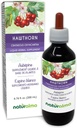 Naturalma Hawthorn (Crataegus oxyacantha) Blad en bloem Alcoholvrije Tinctuur - 6,76 fl oz Liquid Extract in druppels - Kruidensupplement - Veganistisch