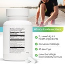 REVITALIZE Mobiliteit + Geavanceerde Gezamenlijke & Connective Tissue Ondersteuning Formule Ontsteking, Joint Care & Relief, Hart & Immune Support, Perna Canaliculus, Glucosamine, MSM, DMG-90 tabletten