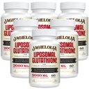 Liposomale Glutathion 2000 mg met L-Serine, L-Glycine & Sulforaphane 