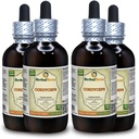 Cordyceps (Cordyceps Sinensis) Tinctuur, Biologische Gedroogde Paddestoel Poeder Liquid Extract (Grote Naam: HerbalTerra, Trots Made in USA) 4x4 fl.oz (4x120 ml)