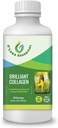 Marine Liquid Collageen Supplement -1000mg Morikol Tripeptide Marine Collageen Plus 1000mg Biotin Hyaluronzuur Vitamine C Gezonde huid Nagels Gezamenlijke ondersteuning GMP Gecertificeerd Gluten&Soy Vrij