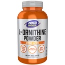 MAINTENANT Aliments Sports Nutrition, L- Ornithine Poudre, Métabolisme des protéines* et urée Detox*, acides aminés, 8-Ounce