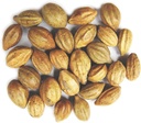 Naturals Terminalia Chebula 