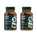 Gaia Kruiden Vitex Berry (Chaste Tree) - Ondersteunt Hormone Balance & Fertility voor vrouwen - 60 Vegan Caps & Liver Health - Leversupplement met melkdistel, likeurwortel voor lever en reiniging ondersteuning -