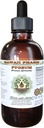 African Cherry Pygeum Extrait liquide sans alcool, African Cherry Pygeum (Prunus Africana) Bark Glycerite Natural Herbal Supplement, Hawaii Pharm, USA 4 oz