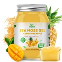 Sea Moss Gel - 18.5OZ Mango Ananas Flavor Sea Moss Gel Raw Nutriënt Rijk aan 102 vitamines en mineralen, eiwitten en vitamines, Vegan-Friendly