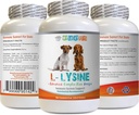 Immuunsysteem Hondenvoeding - Honden LYSINE poeder - Pure poedervorm - Immuunsysteemondersteuning - Vet Aanbevolen - lysine dubbele sterkte - 1 fles (8oz 226,8 gram)